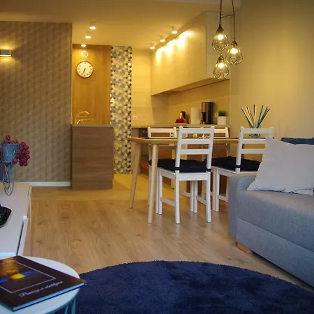 公寓 Apartament Platinum *
