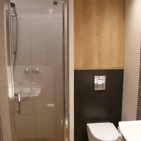 公寓 Apartament Platinum 格丁尼亚